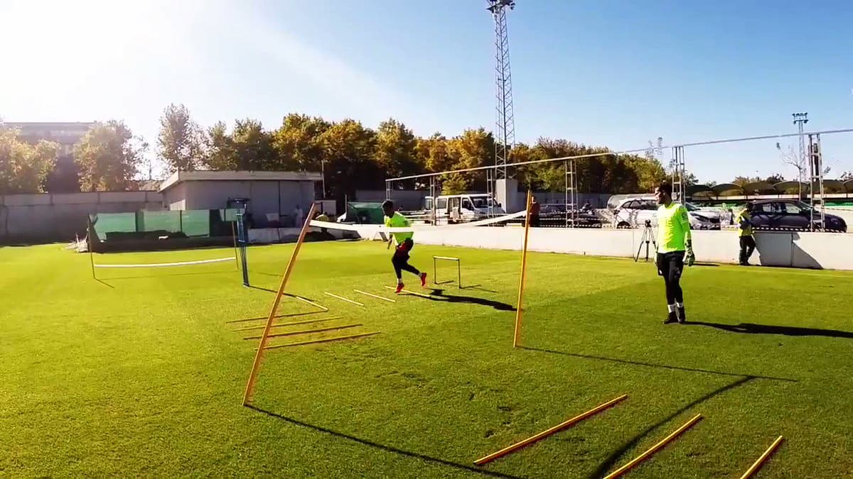 What, how, when, why and with which aim should we implement our specific goalkeeper training during the preseason?
