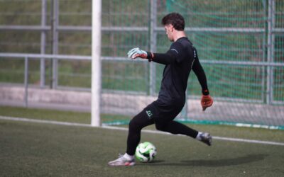 Evaluate the goalkeeper’s ability to continue the game.